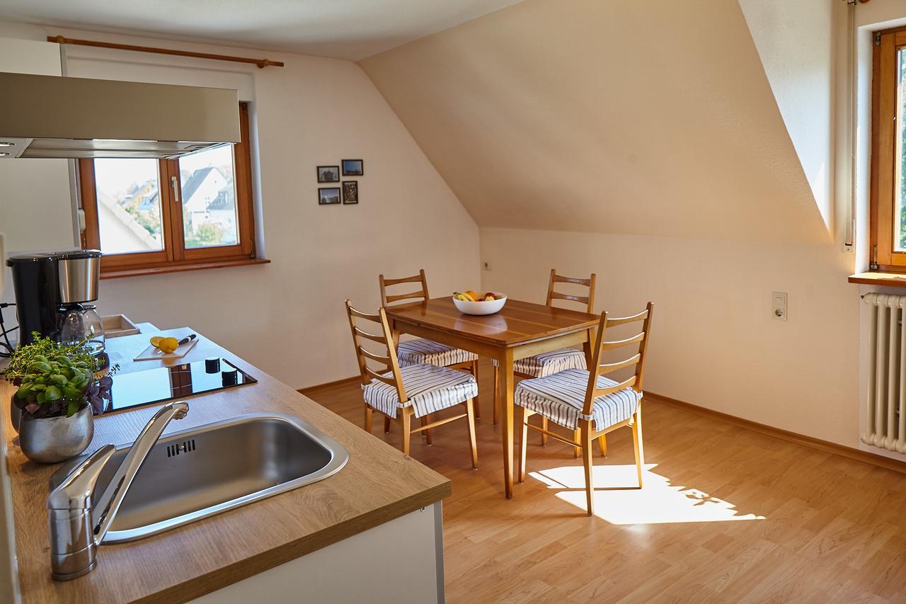 Bodensee Apartment Friedrichshafen Seenah Buitenkant foto